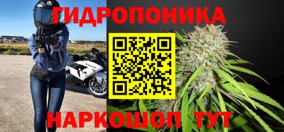 не бодяженный Заводоуковск