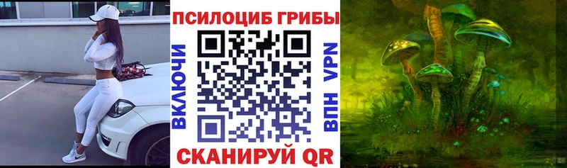 Псилоцибиновые грибы Psilocybine cubensis  Дагестанские Огни 