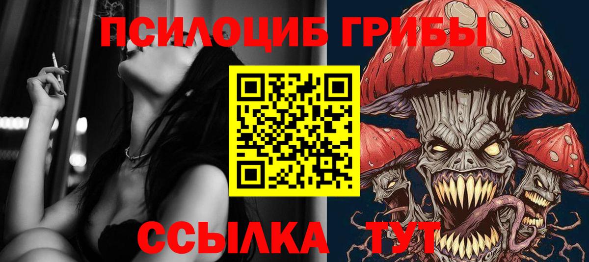 Псилоцибиновые грибы Psilocybine cubensis  Вход с VPN  купить наркоту  Дагестанские Огни 
