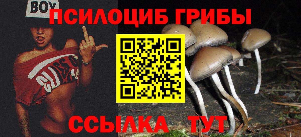 COCAIN  Экстази  Дагестанские Огни  Купить наркотики цена  Вход с VPN  Метадон  Меф МЯУ МЯУ   Бошки Шишки  ГАШИШ 