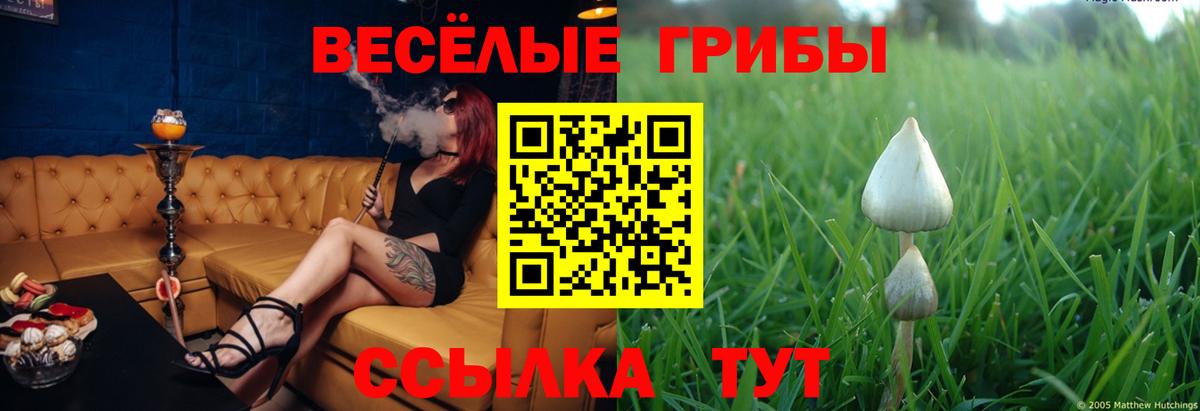 Галлюциногенные грибы MAGIC MUSHROOMS Дагестанские Огни